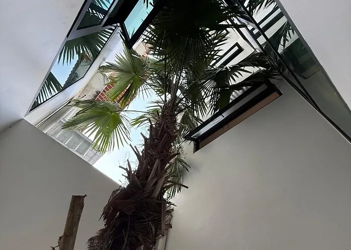 2 Bed & 2 Bath Suite, 5th Floor Apartment